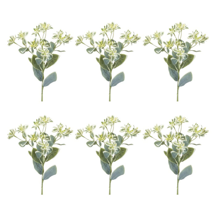 Melrose International Euphorbia Floral Stem, Set of 6, Green/White