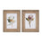 Melrose Wood Framed Protea Floral Print, Set of 2, Green/White/Brown - 92615DS