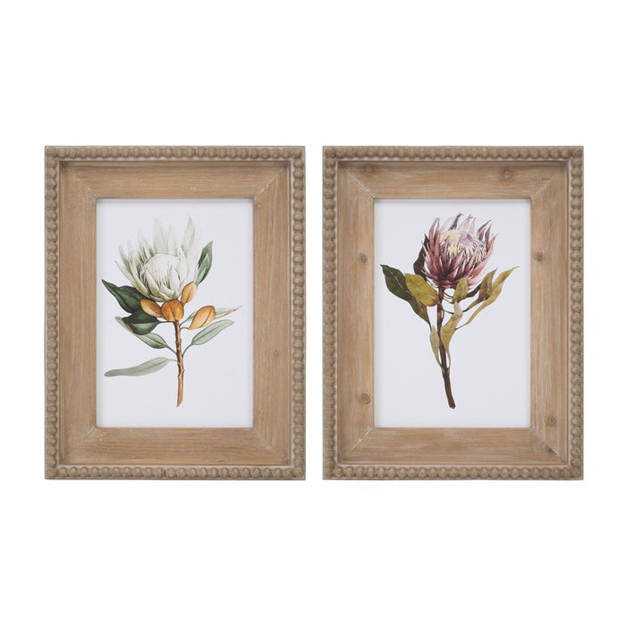 Melrose Wood Framed Protea Floral Print, Set of 2, Green/White/Brown - 92615DS