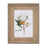 Melrose Wood Framed Protea Floral Print, Set of 2, Green/White/Brown
