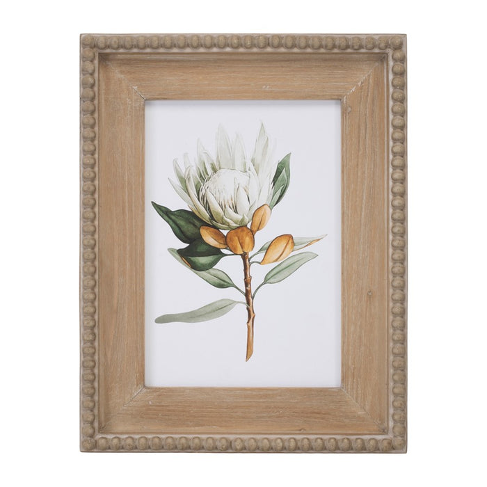 Melrose Wood Framed Protea Floral Print, Set of 2, Green/White/Brown