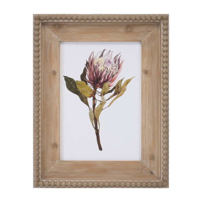 Melrose Wood Framed Protea Floral Print, Set of 2, Green/White/Brown