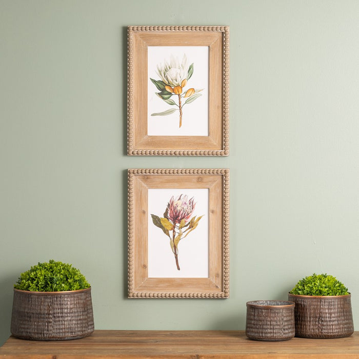 Melrose Wood Framed Protea Floral Print, Set of 2, Green/White/Brown