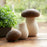 Melrose International Wood Mushroom Box Decor, Set of 2, Brown/Beige