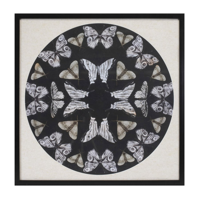 Melrose International Framed Butterfly Print 25"SQ, Black/Beige - 92635DS