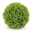 Melrose International Boxwood Foliage Orb, Set of 2, Green - 92647DS