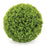 Melrose International Boxwood Foliage Orb 9.5"D, Green - 92648DS