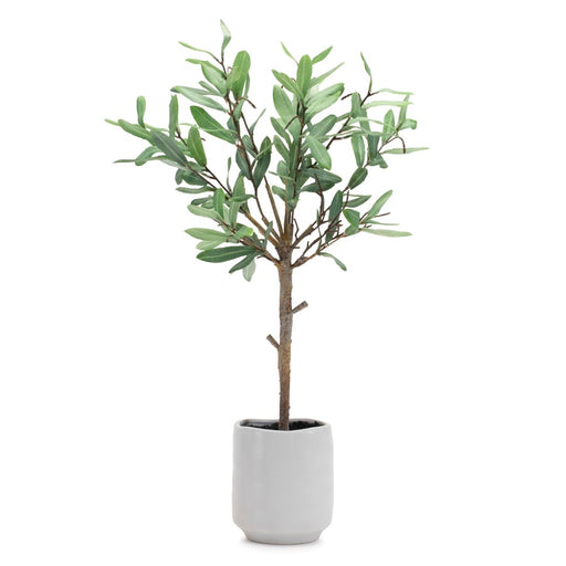 Melrose International Potted Olive Leaf Topiary 21.5"H, Green/Brown - 92658DS