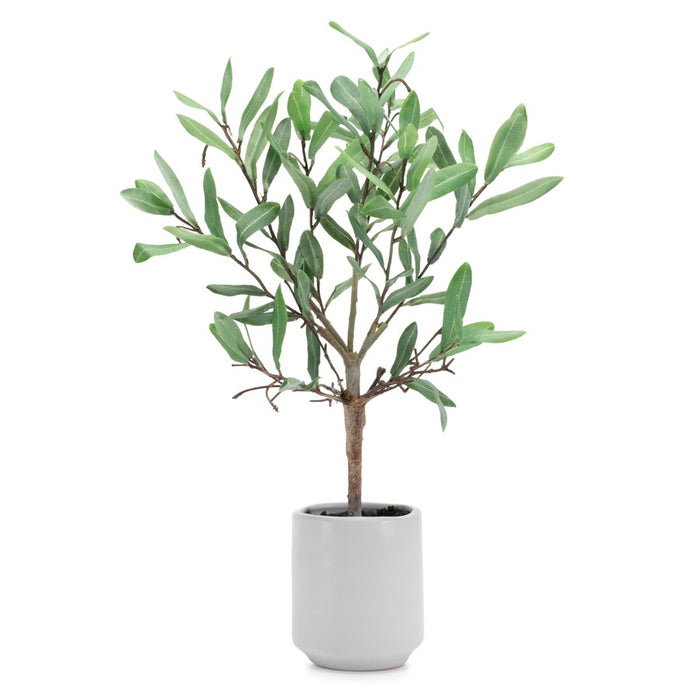 Melrose Potted Olive Leaf Topiary 17.5"H, Green/Brown - 92659DS