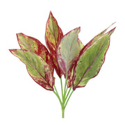 Melrose International Variegated Foliage Plant, Set of 6, Green/Purple - 92720DS