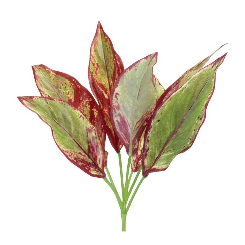 Melrose International Variegated Foliage Plant, Set of 6, Green/Purple - 92720DS