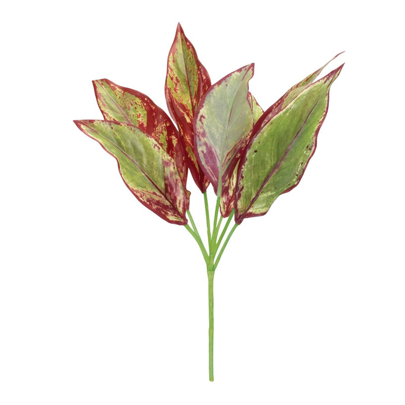 Melrose International Variegated Foliage Plant, Set of 6, Green/Purple