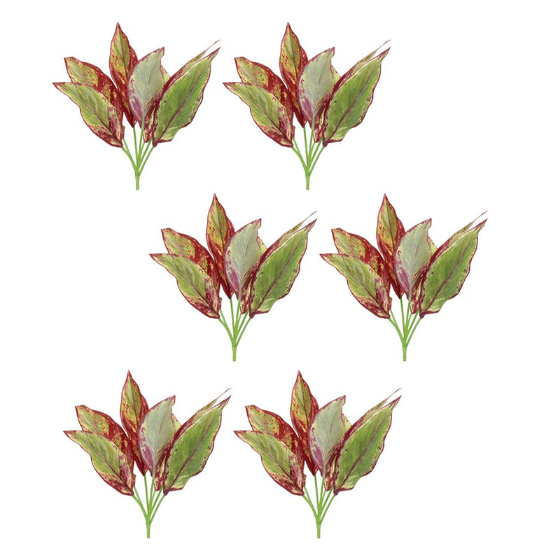 Melrose International Variegated Foliage Plant, Set of 6, Green/Purple