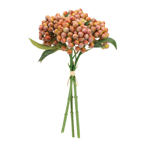 Melrose International Berry Bundle, Set of 2, Orange/Pink/Green