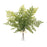 Melrose International Mixed Fern Foliage Bundle, Set of 2, Green - 92804DS