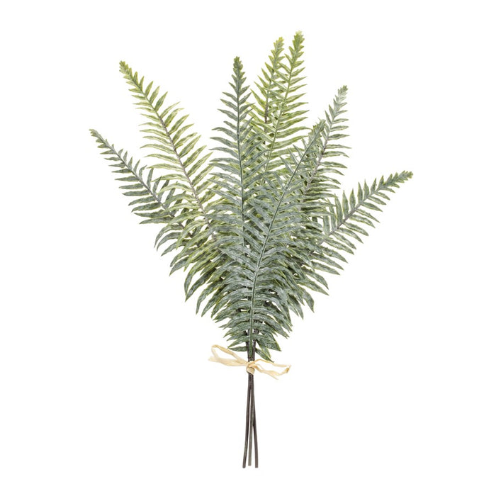 Melrose Fern Foliage Bundle (Set of 2), Green - 92806DS