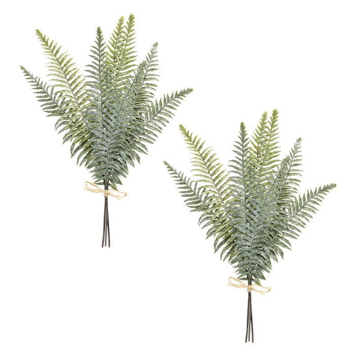 Melrose International Fern Foliage Bundle, Set of 2