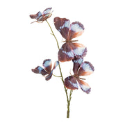 Melrose International Butterfly Spray, Set of 6, Brown/Blue - 92824DS