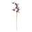 Melrose International Butterfly Spray, Set of 6, Brown/Blue