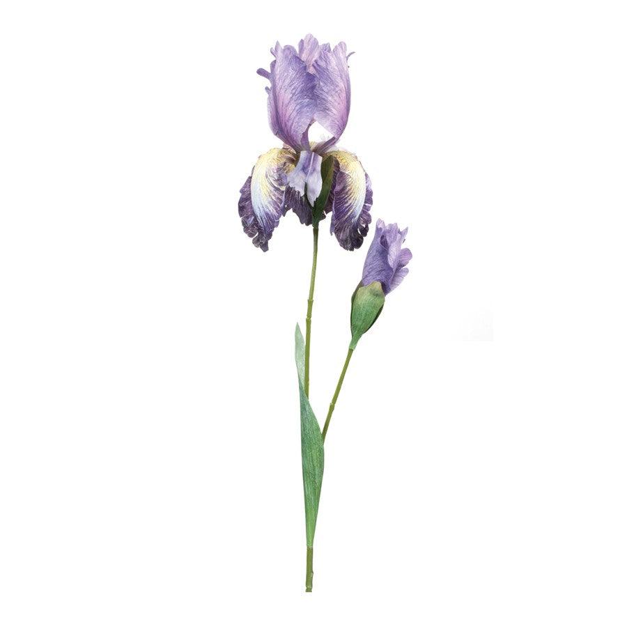 Melrose International Iris Floral Stem, Set of 6, Green/Purple - 92859DS