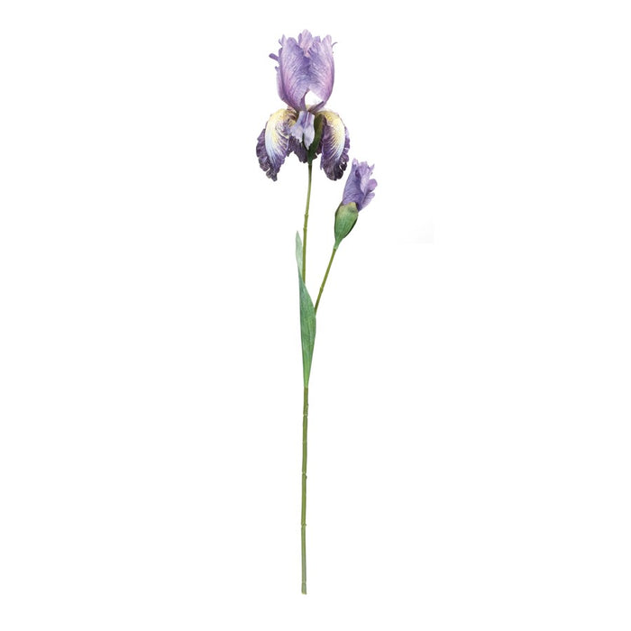 Melrose International Iris Floral Stem, Set of 6, Green/Purple
