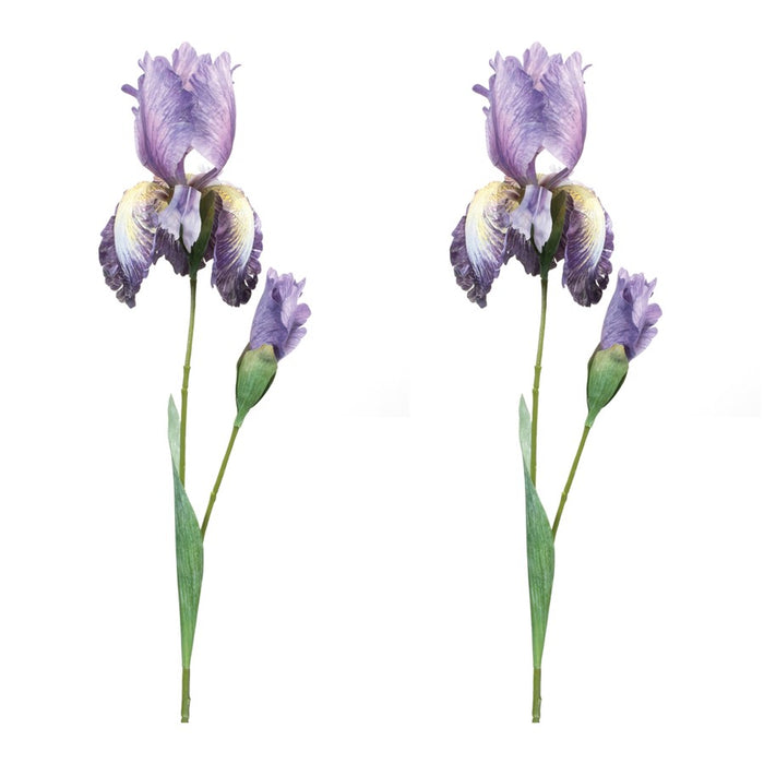 Melrose International Iris Floral Stem, Set of 6, Green/Purple