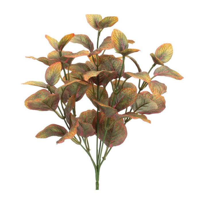 Melrose International Variegated Foliage Plant, Set of 6, Yellow/Red - 92861DS