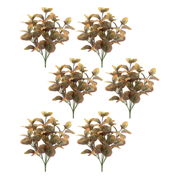 Melrose International Variegated Foliage Plant, Set of 6, Yellow/Red