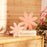 Melrose Mango Wood Flower Decor (Set of 2), Pink/Beige
