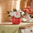 Melrose Storeware Bud Vase 6.5"/Floral Accent (Set of 2), Pink