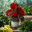 Melrose Geranium Floral Bush 11"/(Set of 2), Red/Green