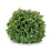 Melrose Boxwood Foliage Orb (Set of 2), Green - 96545DS