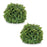 Melrose Boxwood Foliage Orb (Set of 2), Green