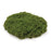 Melrose Faux Moss Pad (Set of 3), Green
