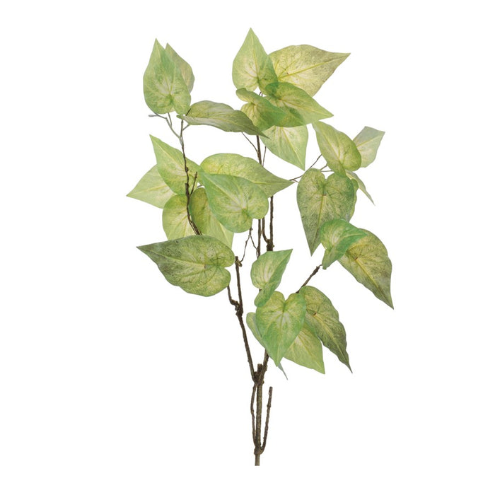 Melrose Anthurium Leaf Branch (Set of 4), Green - 96766DS
