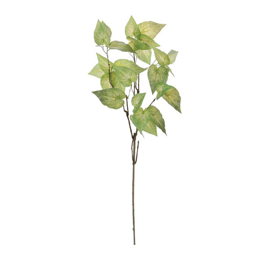Melrose Anthurium Leaf Branch (Set of 4), Green