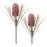 Melrose Protea Floral Stem (Set of 2), Red/Green - 96865DS