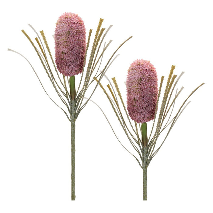Melrose Protea Floral Stem (Set of 2), Red/Green - 96865DS