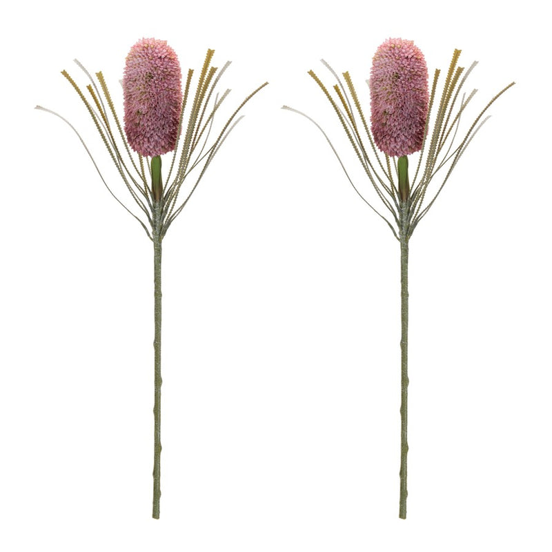 Melrose Protea Floral Stem (Set of 2), Red/Green