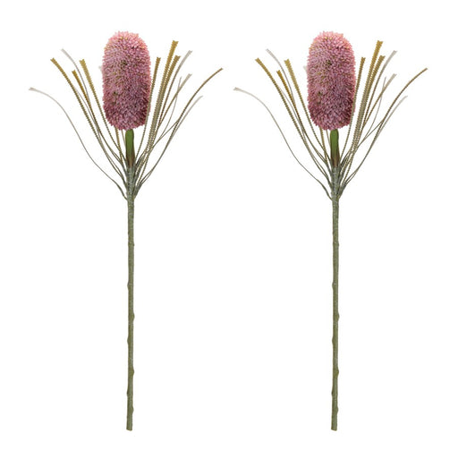 Melrose Protea Floral Stem (Set of 2), Red/Green