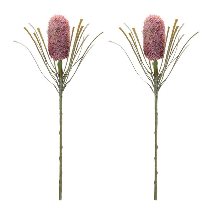 Melrose Protea Floral Stem (Set of 2), Red/Green