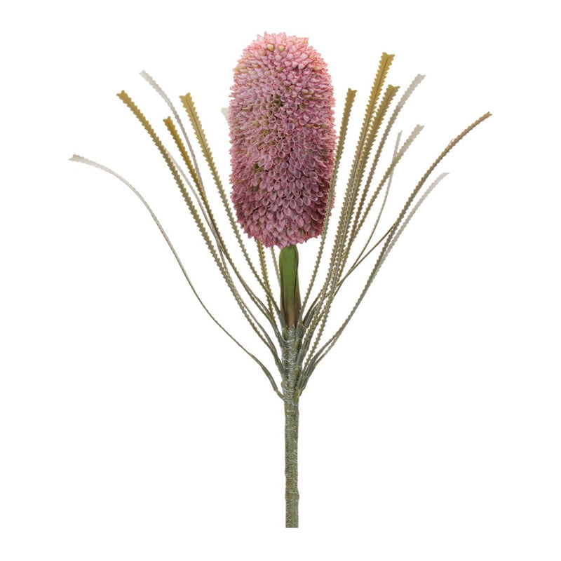 Melrose Protea Floral Stem (Set of 2), Red/Green