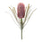 Melrose Protea Floral Stem (Set of 2), Red/Green