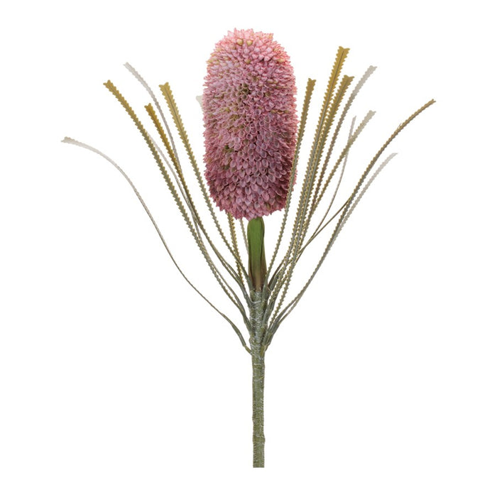 Melrose Protea Floral Stem (Set of 2), Red/Green