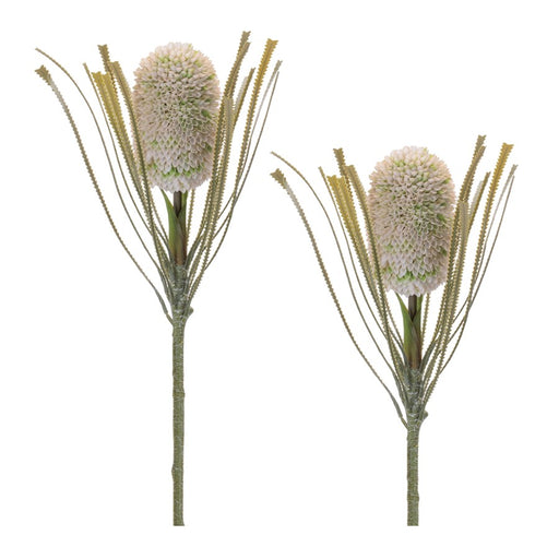 Melrose Protea Floral Stem (Set of 2), Green - 96866DS