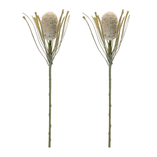 Melrose Protea Floral Stem (Set of 2), Green