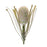 Melrose Protea Floral Stem (Set of 2), Green