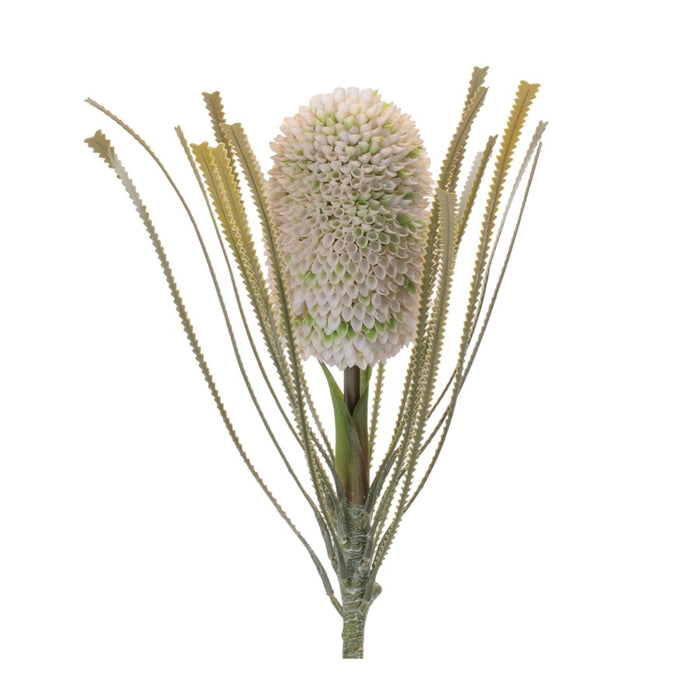 Melrose Protea Floral Stem (Set of 2), Green