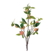 Melrose Peach Fruit Foliage Branch (Set of 6), Pink/Green - 96883DS