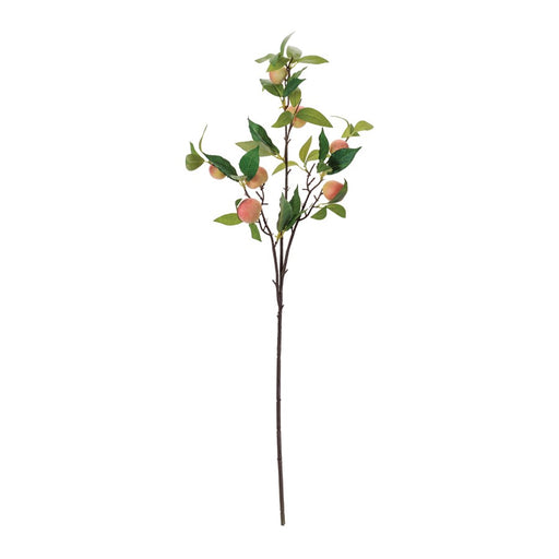 Melrose Peach Fruit Foliage Branch (Set of 6), Pink/Green